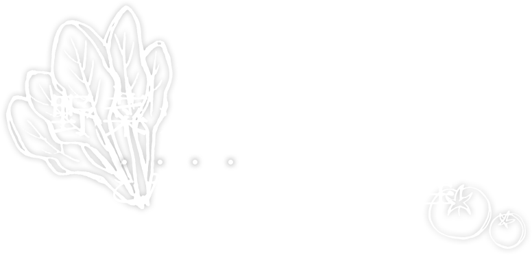 野菜ソムリエがお届けするこだわり野菜料理