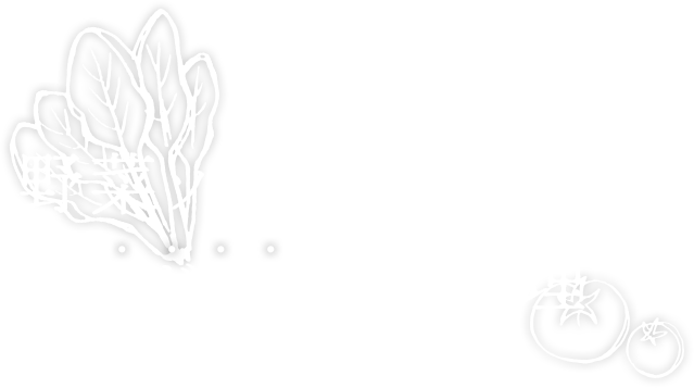 野菜ソムリエがお届けするこだわり野菜料理